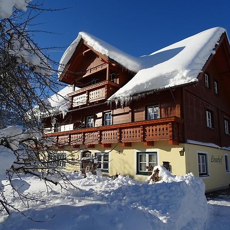 Linarhof Apartment Urlaub Am Bio Bauernhof Haus im Ennstal Bagian luar foto