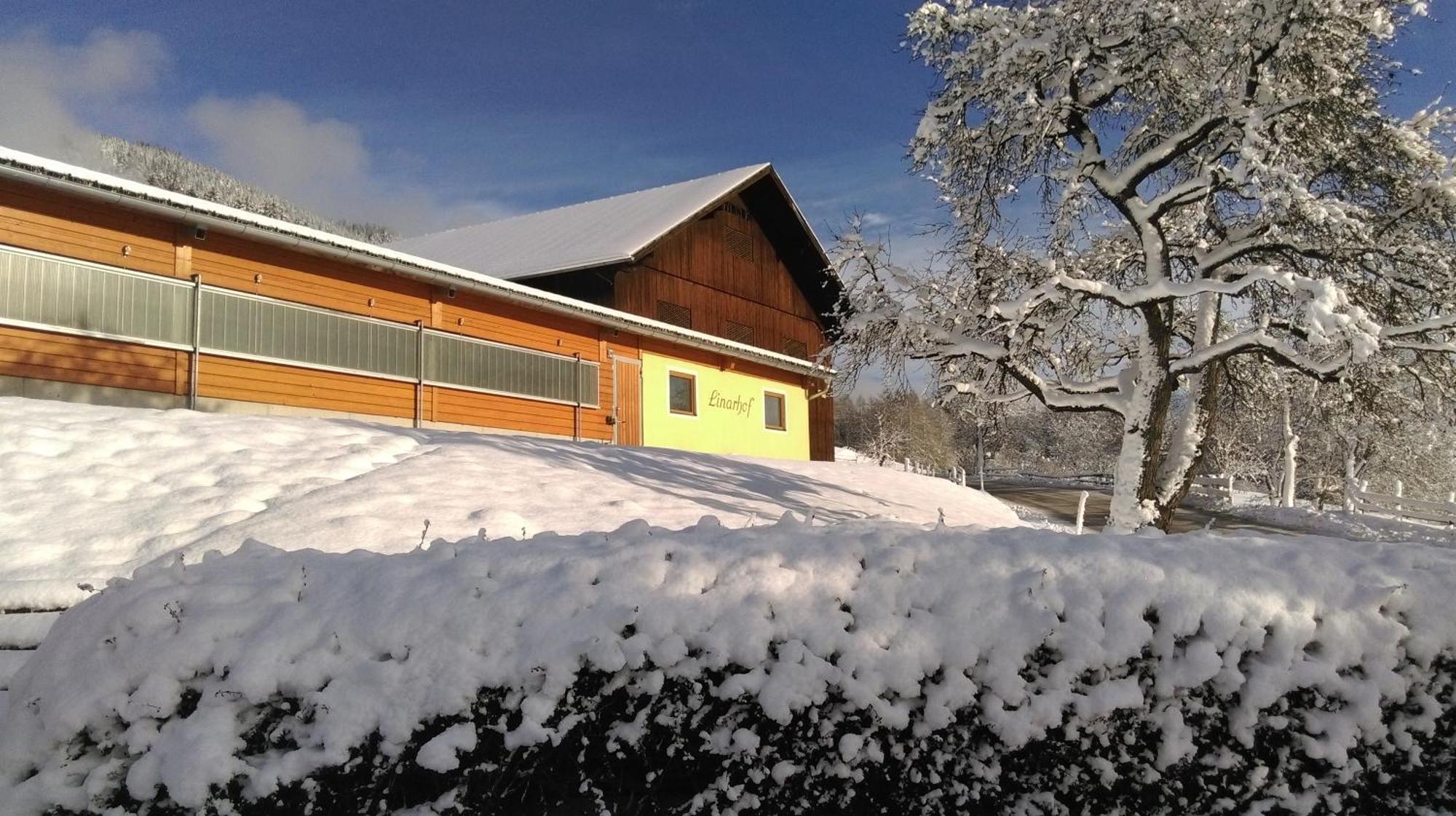 Linarhof Apartment Urlaub Am Bio Bauernhof Haus im Ennstal Bagian luar foto