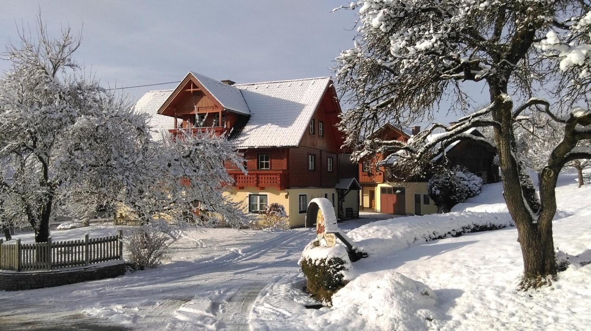 Linarhof Apartment Urlaub Am Bio Bauernhof Haus im Ennstal Bagian luar foto