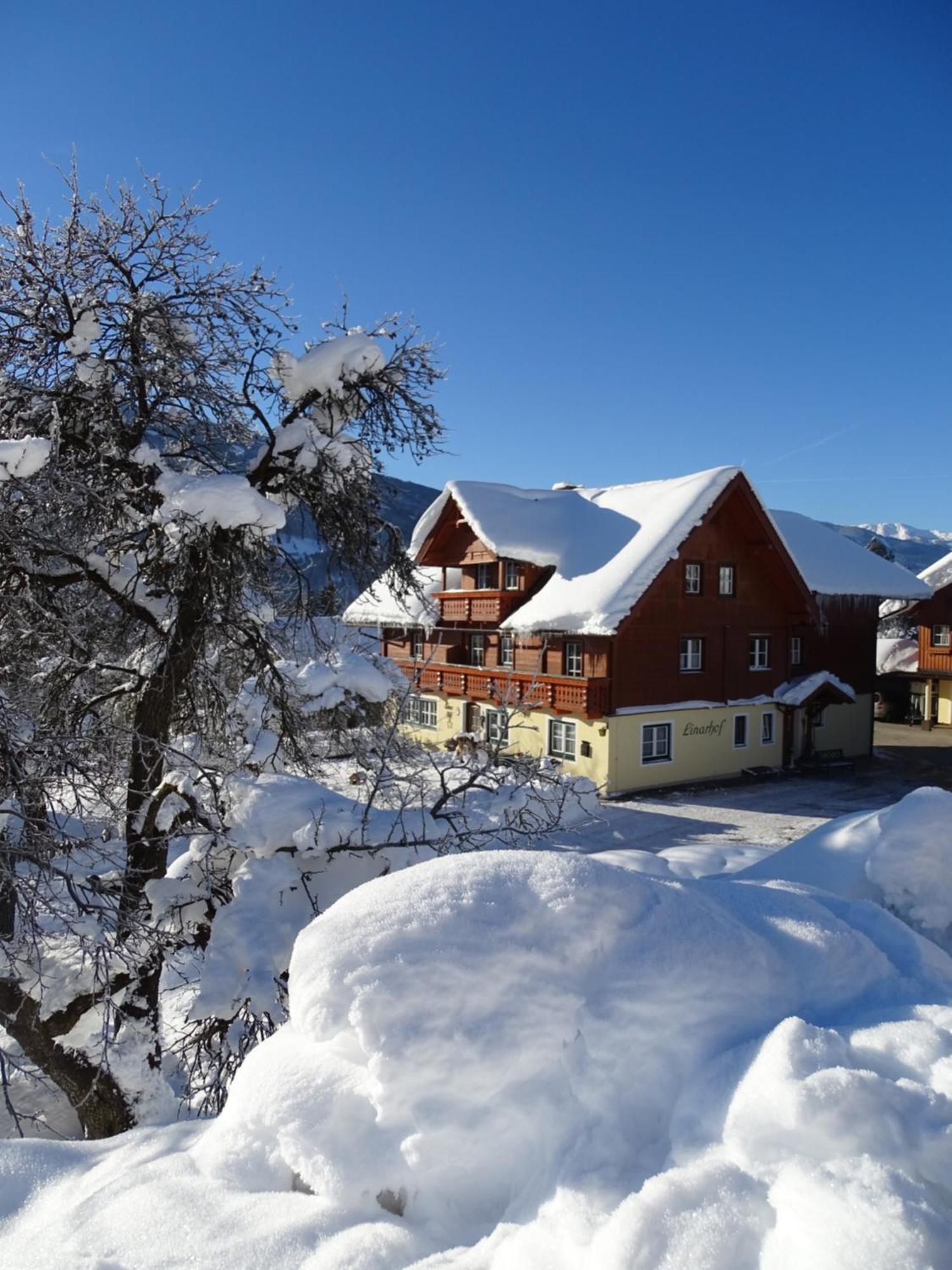 Linarhof Apartment Urlaub Am Bio Bauernhof Haus im Ennstal Bagian luar foto