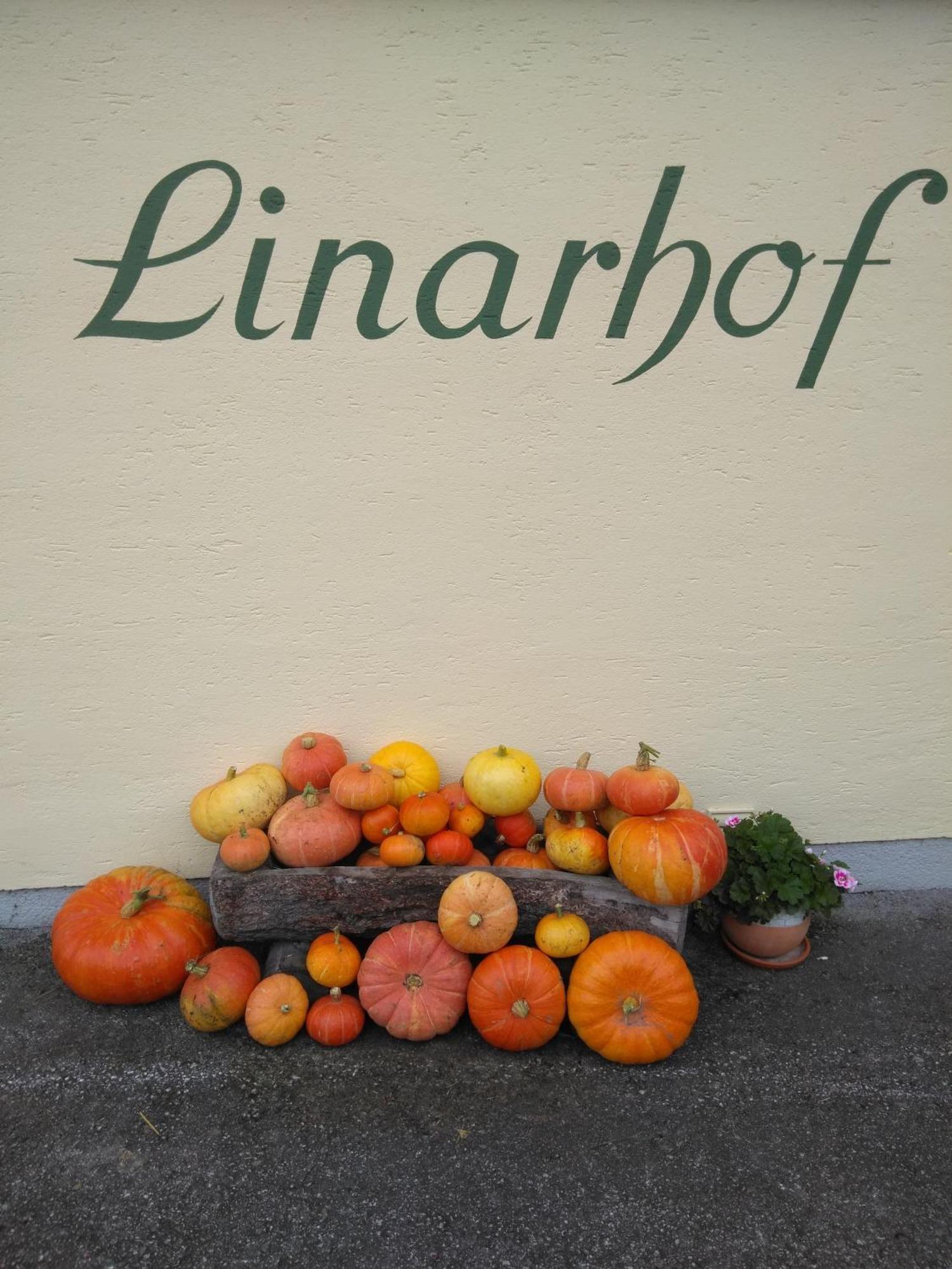 Linarhof Apartment Urlaub Am Bio Bauernhof Haus im Ennstal Bagian luar foto