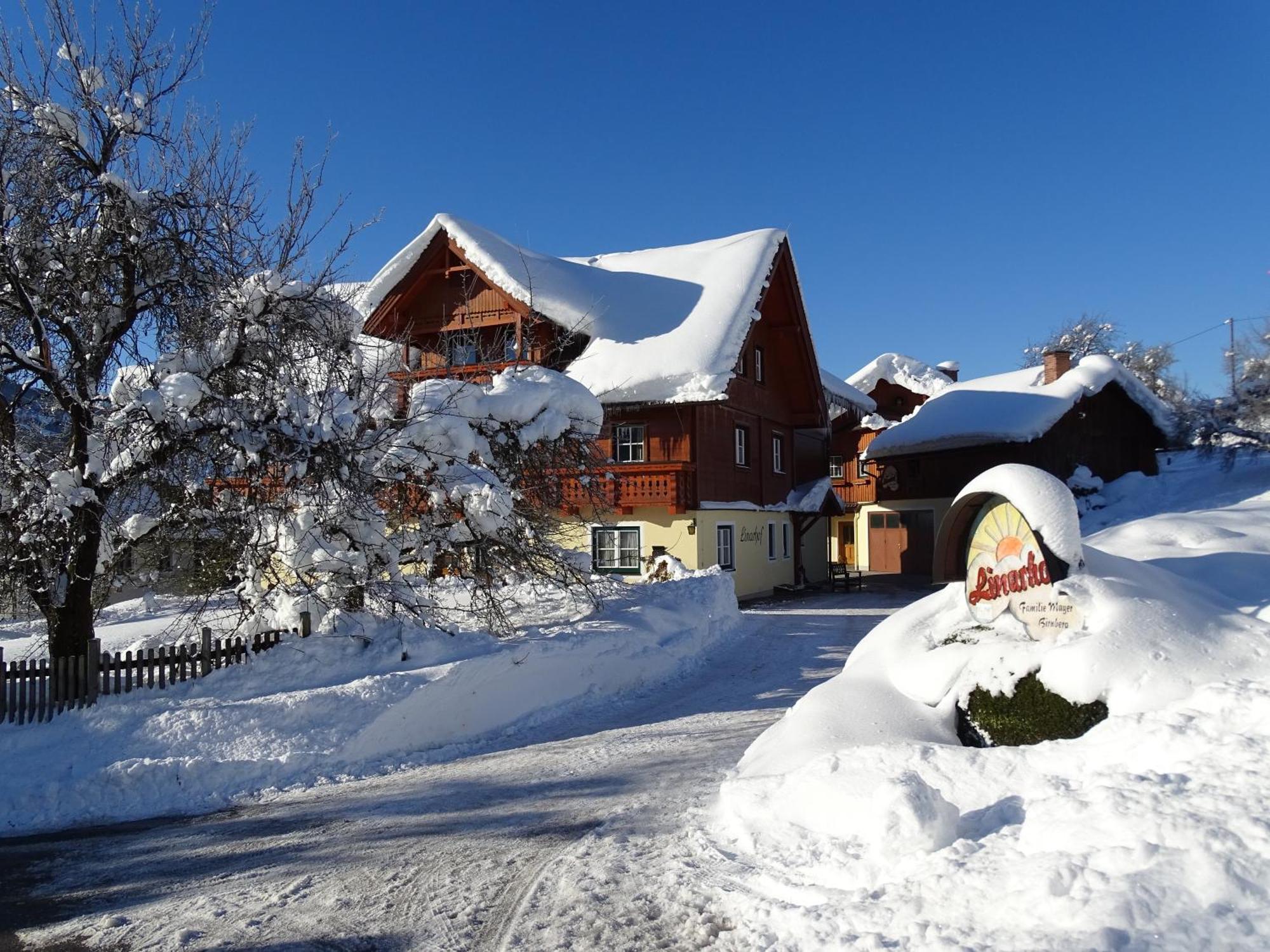 Linarhof Apartment Urlaub Am Bio Bauernhof Haus im Ennstal Bagian luar foto